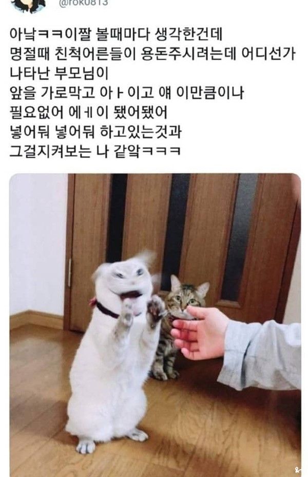 유머1.jpg