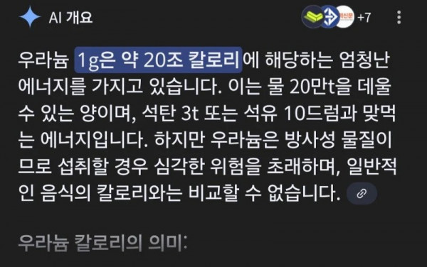 1g에 20조 칼로리라는 음식.jpg