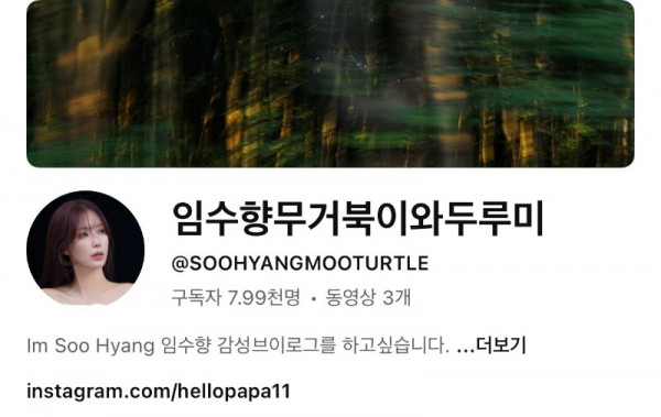임수향 유튜브 채널명 근황.jpg