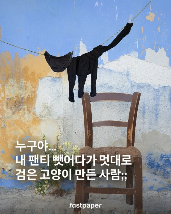 누구야 내팬티 뺏어다가 멋대로 검은고양이 만든사람....jpg