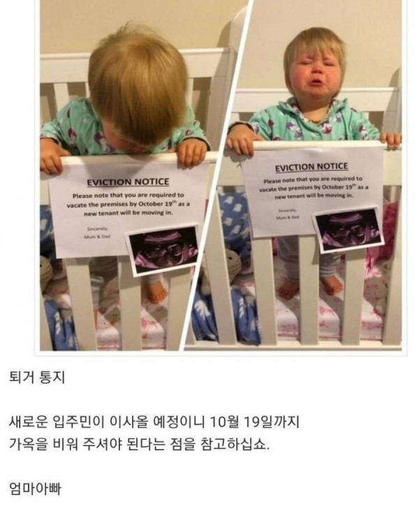 건물주의 자식에게 집을 뺴앗길 위기에 우는 세입자.jpg