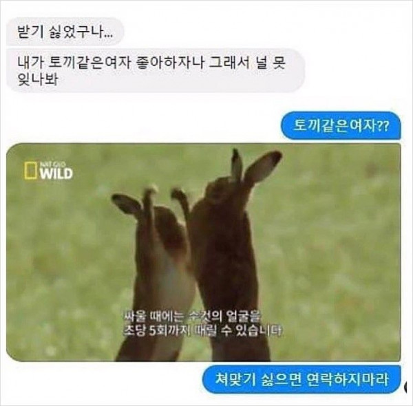2caade1b0ce24f4e8c9f85c47c02f464.jpg