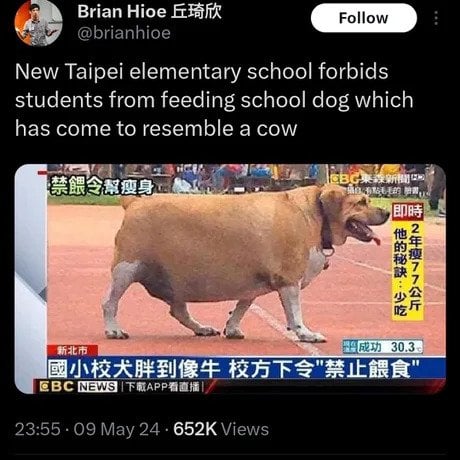 대만의 한 초등학교에서 금지시킨것.jpg
