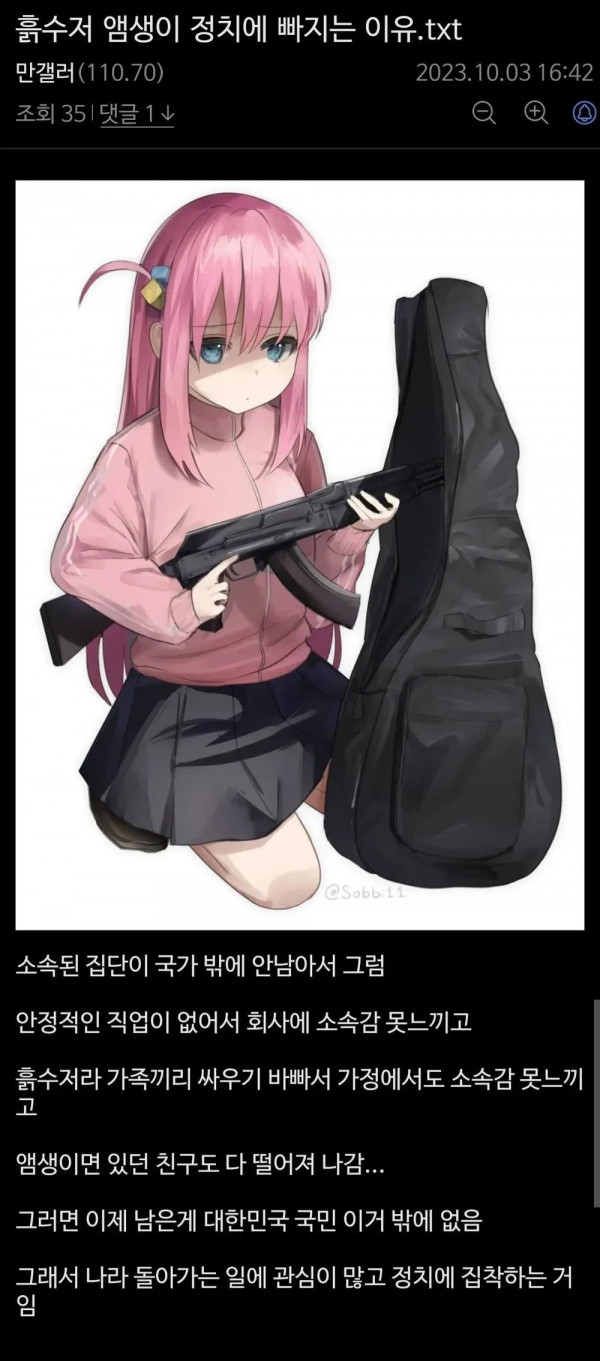 흙수저 정치병자가 발생하는 원리.jpg
