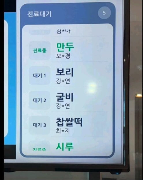 동물병원 근황.jpg