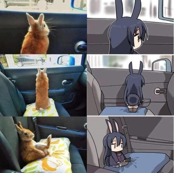 81b8c439c7dec4c7.orig.jpg