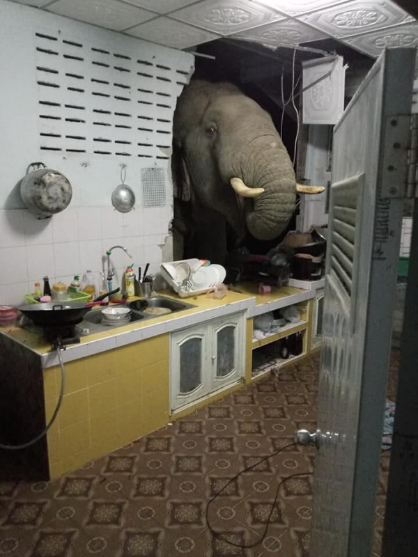 무전취식.jpg