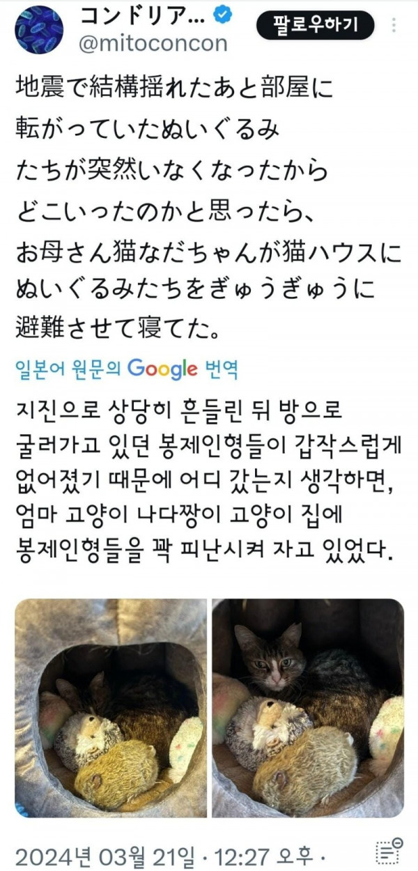 지진 후 인형이 없어진이유.jpg