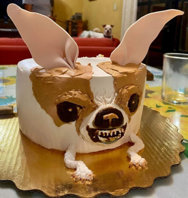 치와와 케잌.jpg