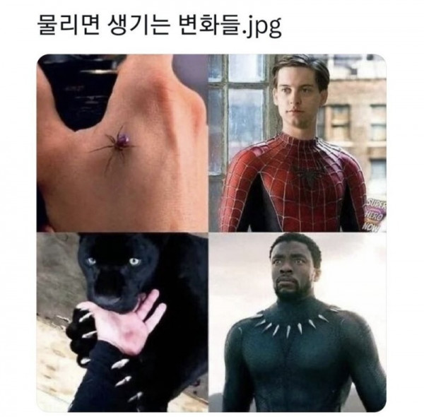 20250719150246_UlRNDBPCve.jpg