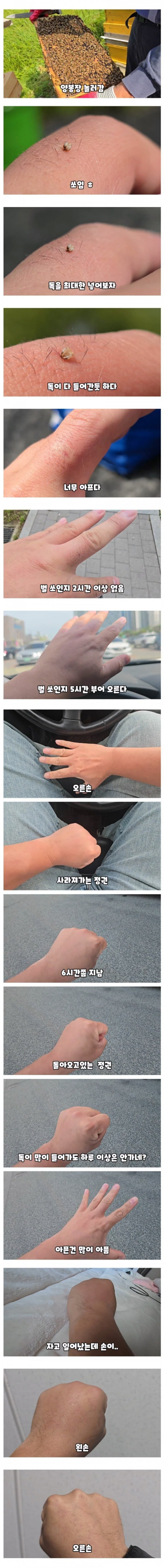 도라에몽주먹.jpg