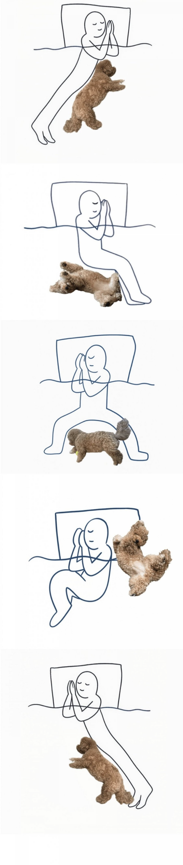 900w_20250915115711_ke5hIXGWnQ.png