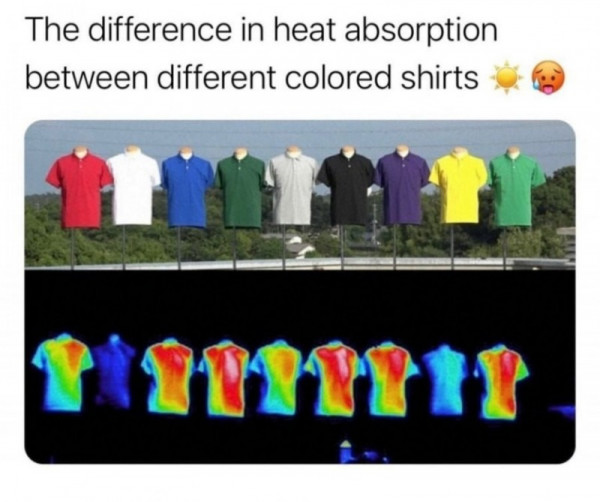 1212.jpg