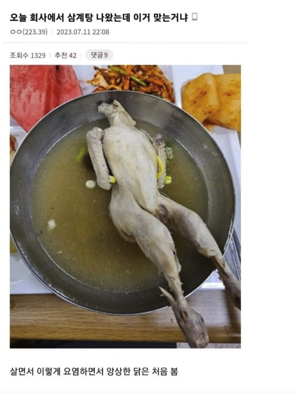 12399955.png