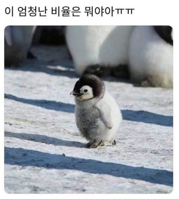 20251001175820_6ockgfnOJI.jpg