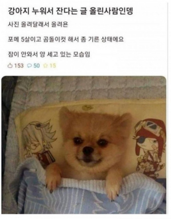 12377.jpg